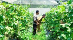 Bhabinkamtibmas Desa Bengkel Kawal Ketahanan Pangan