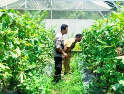 Bhabinkamtibmas Desa Bengkel Kawal Ketahanan Pangan