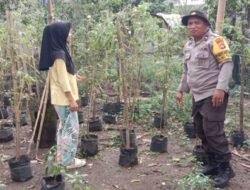 Lahan Sempit Bukan Halangan, Bhabinkamtibmas Bagik Polak Barat Sulap Pekarangan Jadi Sumber Pangan Mandiri