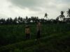 Bhabinkamtibmas Desa Masbagik Selatan Cek Lahan Ketahanan Pangan Bergizi di Tanak Malit Utara