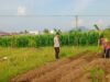 Wujudkan Kemandirian Agraria, Personel Polsek Labuapi Turun Langsung Dampingi Petani Olah Lahan Produktif