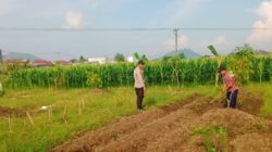 Wujudkan Kemandirian Agraria, Personel Polsek Labuapi Turun Langsung Dampingi Petani Olah Lahan Produktif