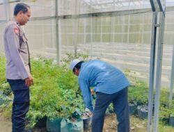 Bhabinkamtibmas Bajur Ajak Warga Manfaatkan Lahan Pekarangan