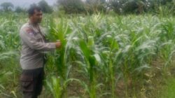 Polri Kawal Kemandirian Pangan Nasional di Desa Bagik Polak