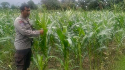 Polri Kawal Kemandirian Pangan Nasional di Desa Bagik Polak