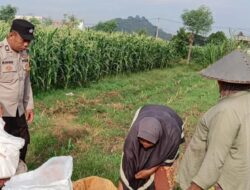 Bhabinkamtibmas Desa Karang Bongkot Kawal Swasembada Pangan di Labuapi