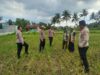 Waka Polres Lombok Tengah Mengecek Lahan Jagung di Dusun Arjangka Kecamatan Pringgarata