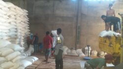 Petani Mareje Kirim Hasil Panen Jagung ke Gudang Bulog