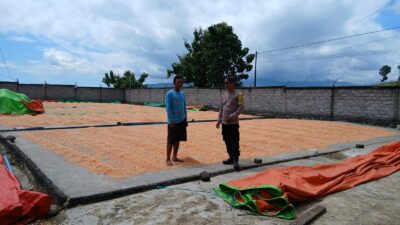 Sinergi Polri dan Petani, Ketahanan Pangan di Dompu Terus Ditingkatkan