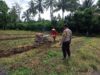 Sinergi di Sawah, Bhabinkamtibmas Desa Kalabeso Pantau Aktivitas Tanam Padi Warga