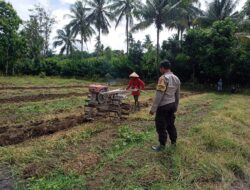 Sinergi di Sawah, Bhabinkamtibmas Desa Kalabeso Pantau Aktivitas Tanam Padi Warga