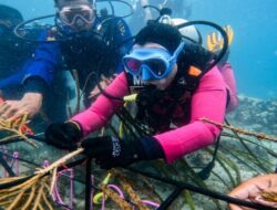 Jaga Kelestarian Ekosistem Laut, Ketua Bhayangkari Daerah NTB Tanam Terumbu Karang di Gili Sudak