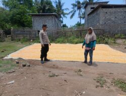Bhabinkamtibmas Desa Mbuju Pantau Penjemuran Jagung Warga, Dukung Program Ketahanan Pangan Nasional