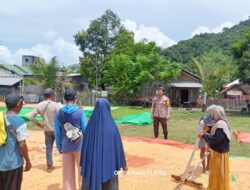 Bhabinkamtibmas Desa Adu Pantau Penjemuran Jagung Warga, Dorong Distribusi ke Bulog