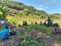 Bhabinkamtibmas Polsek Manggelewa Fasilitasi Mediasi Petani Bawang, Perkuat Ketahanan Pangan dan Kamtibmas