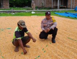 Bhabinkamtibmas Aktif Dampingi Warga, Hasil Panen Jagung Siap Terserap