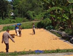 Kapolsek Manggelewa Apresiasi Kinerja Bhabinkamtibmas, Petani Semakin Terbantu