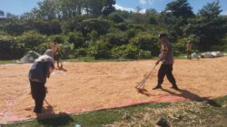 WUJUD DUKUNGAN POLRI TERHADAP KETAHANAN PANGAN NASIONAL, BHABINKAMTIBMAS DESA KEMPO DAMPINGI PETANI JAGUNG