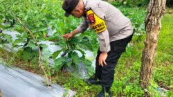 Dukung Program Asta Cita, Bhabinkamtibmas Monitoring Ketahanan Pangan Warga Binaan