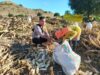 Bhabinkamtibmas Desa Mata Motivasi Petani Jagung Optimalkan Hasil Kebun