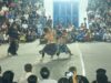Peresean Lombok Barat, Pengamanan Ketat Polisi Pastikan Arena Tetap Kondusif