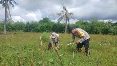 Bhabinkamtibmas Desa Tolo’oi Edukasi Petani Diversifikasi Lahan Pekarangan