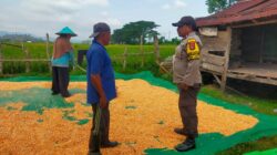 BHABINKAMTIBMAS DESA JALA LAKUKAN PEMANTAUAN PENJEMURAN JAGUNG WARGA DALAM DUKUNG KETAHANAN PANGAN NASIONAL