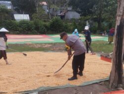 BHABINKAMTIBMAS POLSEK KEMPO PANTAU HASIL PANEN JAGUNG WARGA DUKUNG KETAHANAN PANGAN NASIONAL