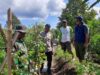 BHABINKAMTIBMAS POLSEK PEKAT PANTAU LAHAN PERTANIAN SAYUR WARGA DUKUNG KETAHANAN PANGAN