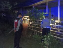 Cegah Pencurian Ternak Sapi, Polsek Sekotong Patroli Malam