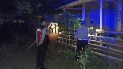 Polsek Sekotong Tekan Kasus Pencurian Ternak Sapi di Lombok