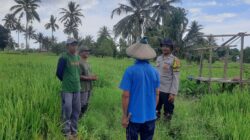 BHABINKAMTIBMAS POLSEK PEKAT AJAK PETANI DUKUNG PROGRAM KETAHANAN PANGAN
