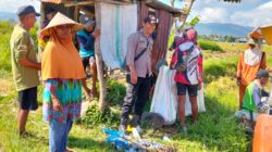 PANEN PADI DI WAWONDURU DIPANTAU BHABINKAMTIBMAS, POLRI DUKUNG PANGAN NASIONAL