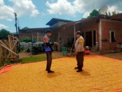 Bhabinkamtibmas Desa Jala Pantau Penjemuran Jagung Warga Dukung Ketahanan Pangan Nasional