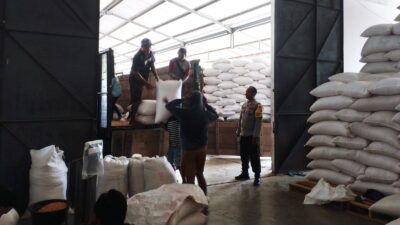 Siasat Polsek Gerung Jaga Stabilitas Harga Jagung