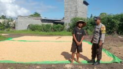 BHABINKAMTIBMAS POLSEK PEKAT DORONG PETANI SALURKAN HASIL PANEN KE GUDANG BULOG