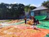 BHABINKAMTIBMAS POLSEK DOMPU PANTAU HASIL PANEN JAGUNG WARGA DAN AJAK DISTRIBUSIKAN KE BULOG