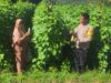Bhabinkamtibmas Desa Manemeng Dampingi Pengelolaan Pekarangan Pangan Bergizi, Dorong Ketahanan Pangan Masyarakat