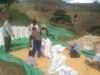 Kapolsek Woja: Bhabinkamtibmas Berperan Aktif Mendukung Produktivitas Pertanian Masyarakat