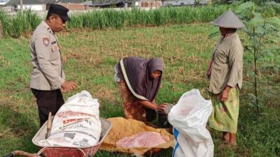 Kawal Distribusi Pupuk dan Motivasi Petani, Komitmen Polsek Labuapi Dukung Swasembada Pangan