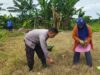 Sentuhan Humanis Bhabinkamtibmas Olah Lahan Kosong Bersama Warga, Bukti Polri Sokong Kedaulatan Pangan Nasional