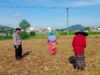 Bhabinkamtibmas Karang Bongkot Pantau Aktivitas Petani Sawah