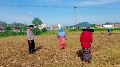 Bhabinkamtibmas Karang Bongkot Pantau Aktivitas Petani Sawah