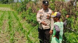 Polsek Labuapi Optimalkan Lahan untuk Ketahanan Pangan Nasional