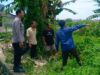 Lahan Sempit Jadi Aset, Cara Bhabinkamtibmas Desa Perampuan Bangkitkan Kemandirian Pangan Warga