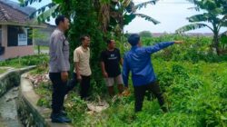 Lahan Sempit Jadi Aset, Cara Bhabinkamtibmas Desa Perampuan Bangkitkan Kemandirian Pangan Warga