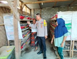 Dukung Keyahanan Pangan, Bhabinkamtibmas Desa Bagik Papan Cek Peternakan Burung Puyuh
