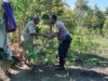 Bhabinkamtibmas Lombok Barat Dampingi Petani Hortikultura Sukseskan Ketahanan Pangan