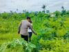 Polsek Labuapi Kawal Ketahanan Pangan di Lombok Barat
