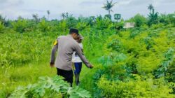 Sinergi Polsek Labuapi dan Petani Jaga Ketahanan Pangan